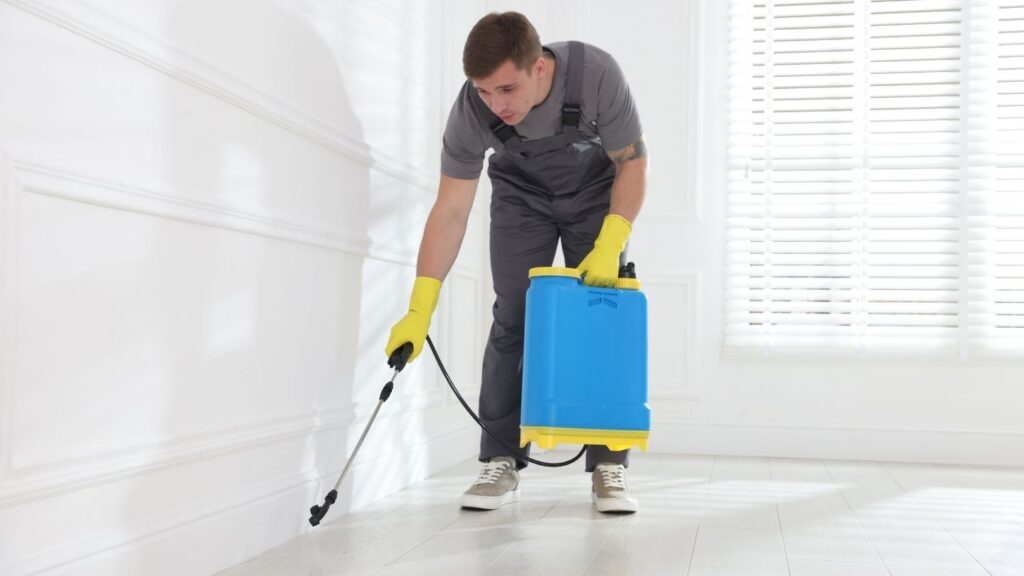 Interior Pest Treatments
